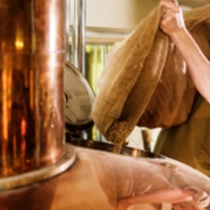 Swedish research project upcycles brewer’s spent grain into functional food ingredient