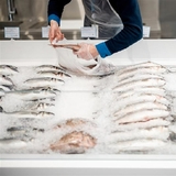 Aquatic welfare standards essential for seafood sustainability and health advancements, say research
