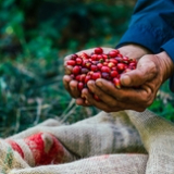 Olam reorganization: Investing US$500M in food ingredients business, paying off debt and unlocking v