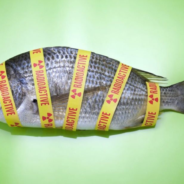 Historic earthquake in Japan still sending flood of food safety concerns