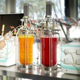 Phytolon and Ginkgo Bioworks triple natural color output efficiency amid crackdown on synthetic dyes