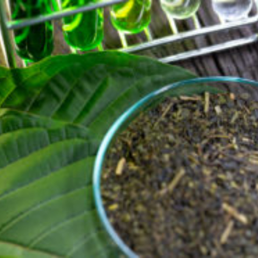 Kratom ban is just one vote away in Louisiana