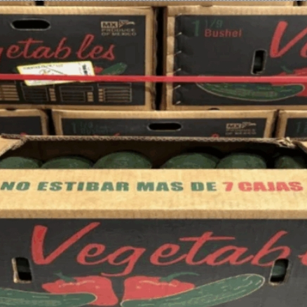 Texas company recalls cucumbers because of positive tests for Salmonella