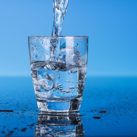 FAO makes progress on water quality and foresight work