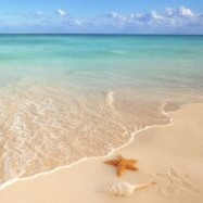 Efforts bring food safety into focus in the Caribbean