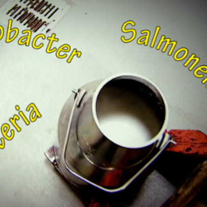 Pennsylvania officials issue raw milk warning after testing shows Salmonella