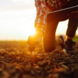 US biotechnology partnership launches efforts to reduce heavy metal contamination in crop production
