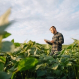 Critical decline in agricultural youth employment threatens Europe’s farming and food future, study 