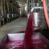 Alcohol sector pushes for EU-Mercosur deal amid falling consumption and US trade tensions