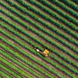COP30: Brazil launches farmland restoration accelerator to bridge US$105B annual funding gap