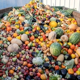 COP30: Only 30 countries commit to food waste mitigation as climate pressure mounts