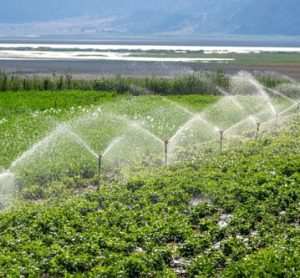 How HRMS is transforming contaminant detection in reclaimed water and food crops