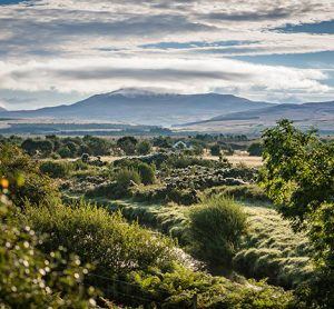 Diageo invests £5m in Scotland peatland restoration project