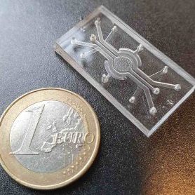 NIZO and University of Twente launch device tracking how ingredients affect cognition