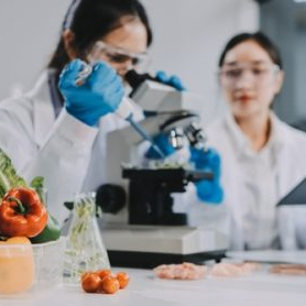 EU bioeconomy strategy 2025 sets sights on sustainable growth