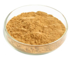 High Quality Mucuna Pruriens Extract