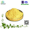 Best selling products Vitamin B9 CAS#59-30-3 folic acid