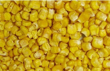 Freeze Dried Sweet Corn Kernels