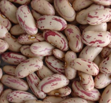 Dried Light Speckled Kidney Beans