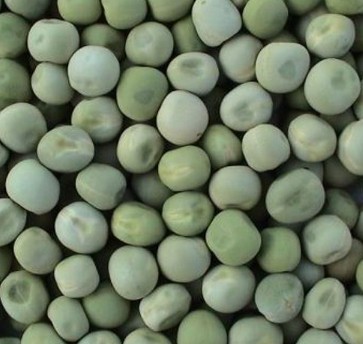 Dried Garden Peas