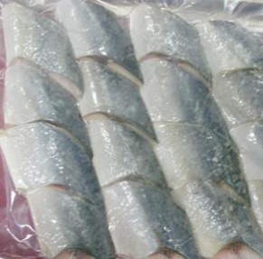 Stingless spanish mackerel