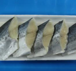 Spanish mackerel block