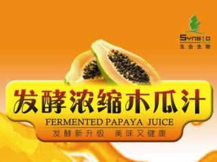 Fermented papaya juice concentrate (inactive)