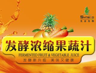 Fermented concentrated fruit and vegetable juice (inactive)