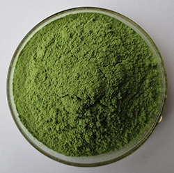 Organic Alfalfa Juice Green Powder