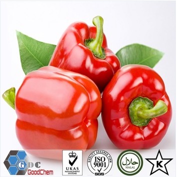 2016 New Crop AD Dehyrated Organic Bulk Red Bell Pepper Powder