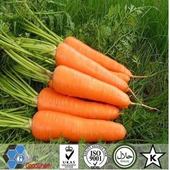 Chinese Good Quality Air Dried Carrot Powder Grade A
