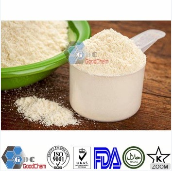 Organic Raw Rice Protein Powder