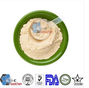 Natural Isolate Pea Protein manufacturer