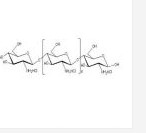 Chitosan Oligosaccharides