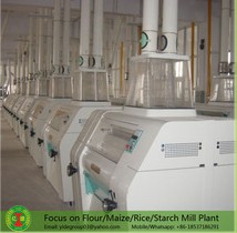 Well operating commercial flour mill for sale
