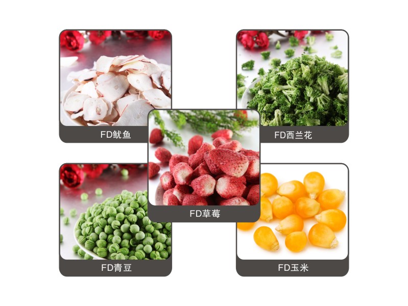 FD Product Frozen Dried Seafood Frozen Dried Vegetable