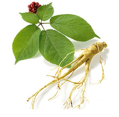 Asian Ginseng Stem and Leaf P.E.