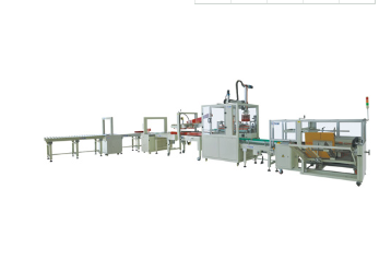 Automatic Carton Packing Line APL-CSS01 