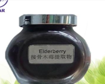 Italian Elderberry