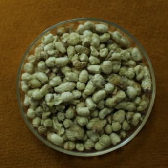 Freeze-dried powder for male bee pupae