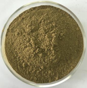 Aloe Vera whole leaf dry powder