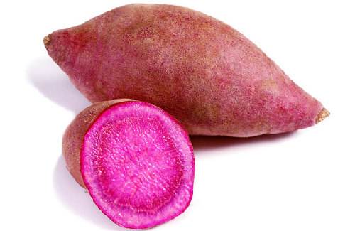 【NATURAL COLOR】-Purple Sweet Potato Color