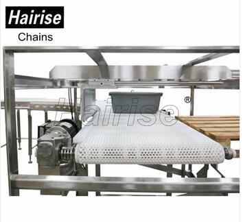 Hairise Detector Conveyors with Modular Belts or Slat Top Chains