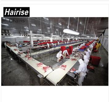 Hairise Food Grade Modular belt Conveyor for Slaughter Line
