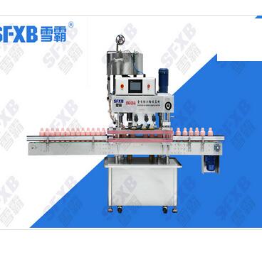 SFXG-120-6 Automatic Frequency Conversion High-speed Capping Machine