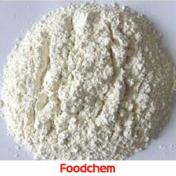 Dehydrated Onion Powder