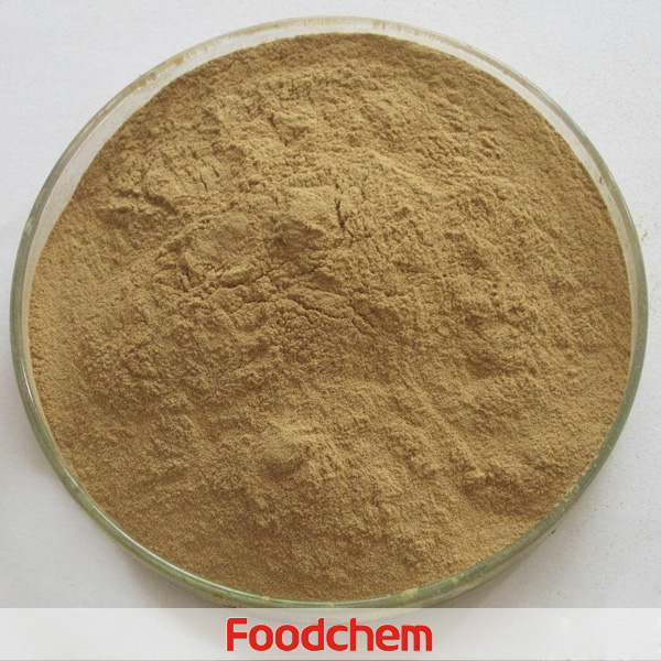 Citrus Aurantium Extract - Synephrine