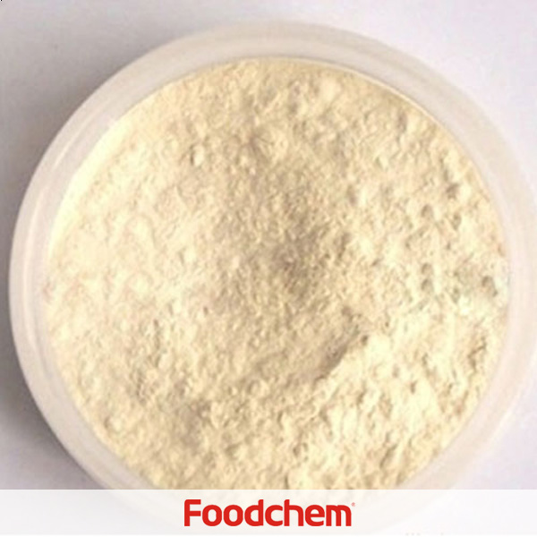 Ginseng Extract - Ginsenoside