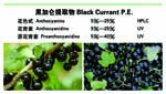 Black currant extract powder