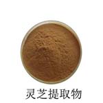 reishi extract powder